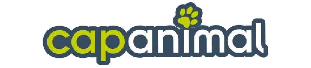 logo-olystia-conseil-avis-01